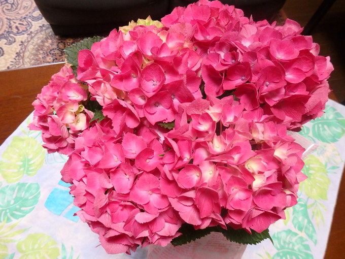a0054240_20415188.jpg