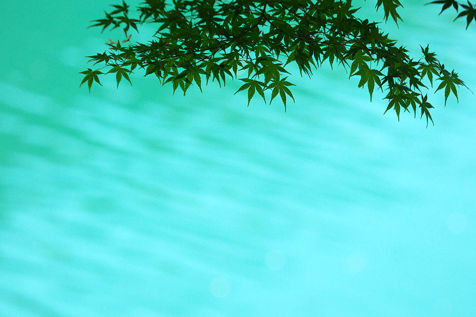 c0067040_21323266.jpg