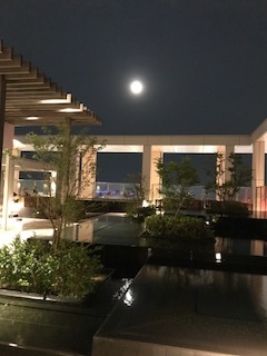 e0067640_12280826.jpg