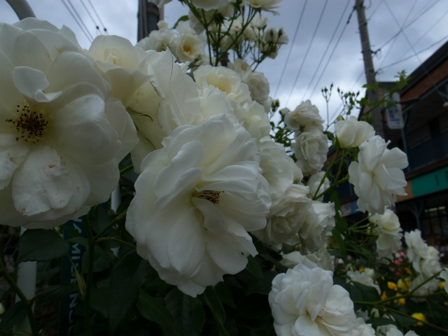 a0087341_07153115.jpg
