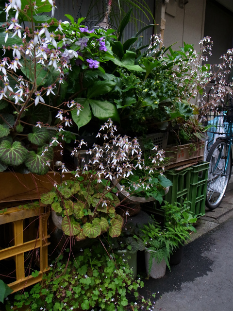 a0087341_07341745.jpg