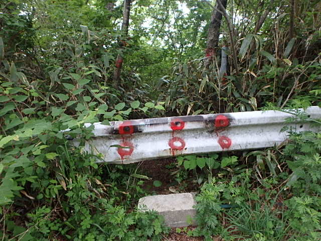 f0334143_19281652.jpg