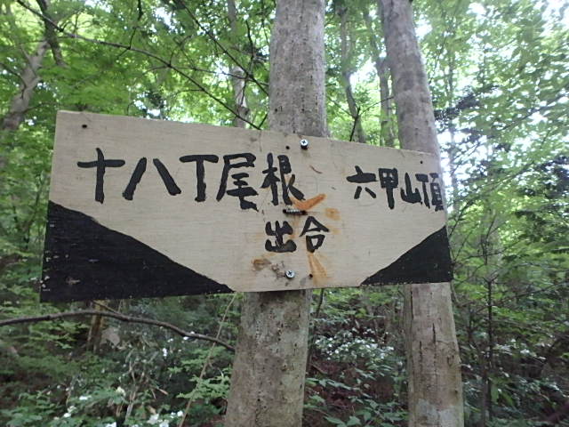 f0334143_19352945.jpg
