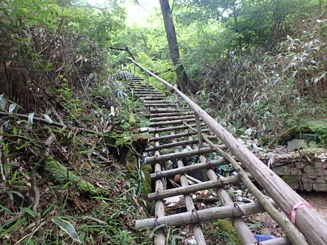 f0334143_19421910.jpg