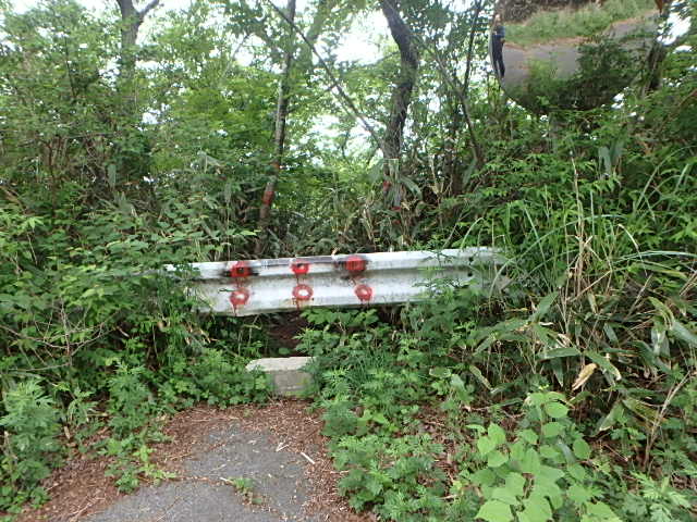 f0334143_194428100.jpg