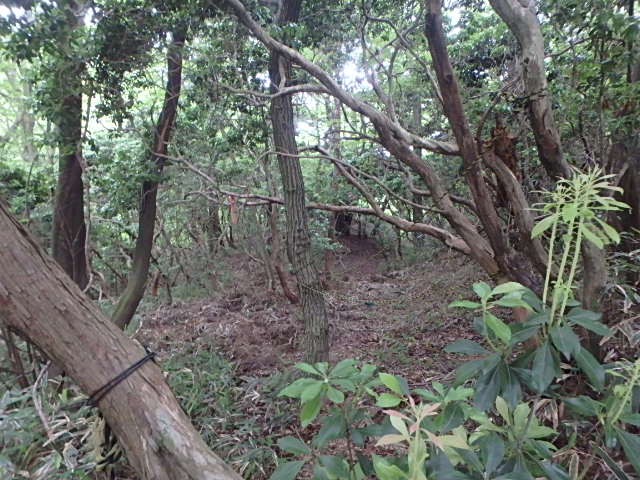 f0334143_19445343.jpg