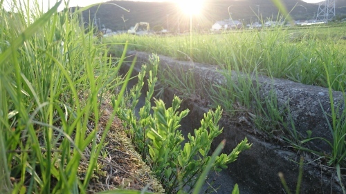 f0326946_00501826.jpg