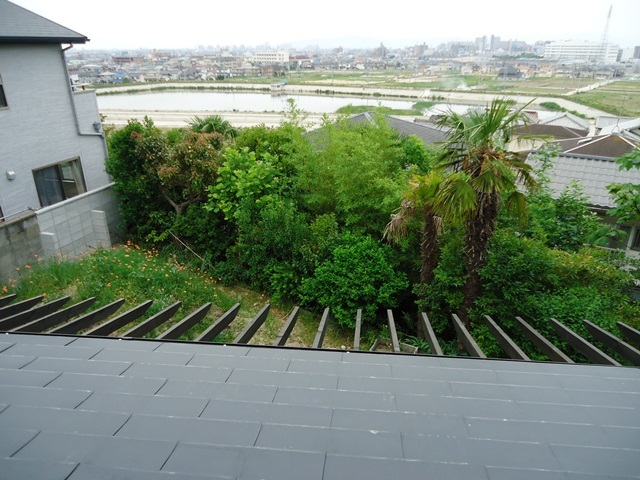 d0244547_10593629.jpg