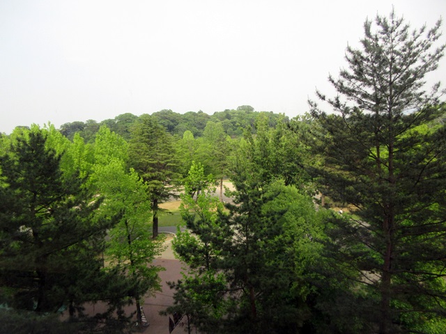 b0009849_17435268.jpg