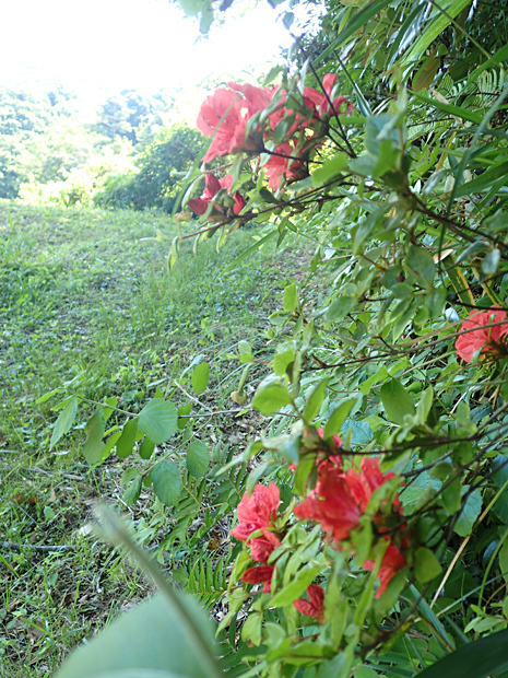f0214649_04230839.jpg