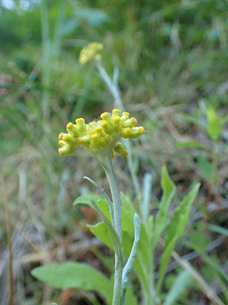 f0214649_04230909.jpg