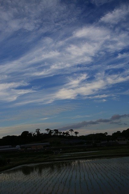 f0288049_07272696.jpg