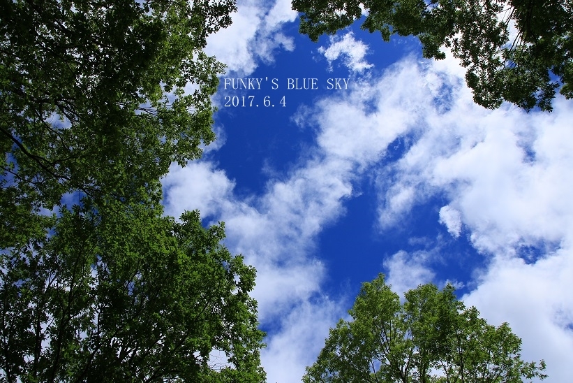緑のPO・・・♪ - FUNKY'S BLUE SKY