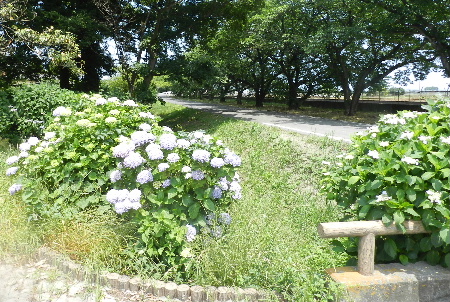 e0172950_20381663.jpg