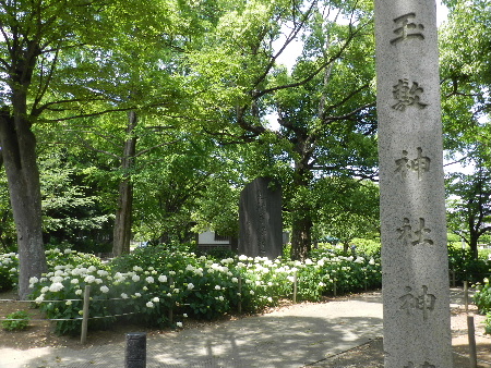 e0172950_20403285.jpg