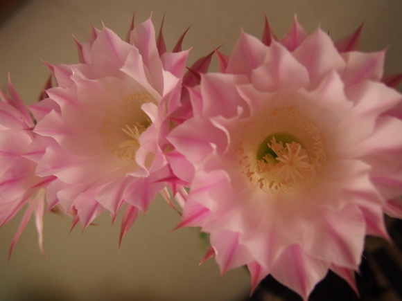 b0243152_15062714.jpg