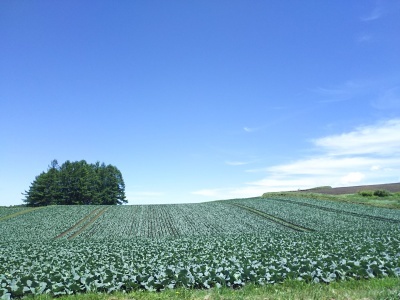 f0364455_23512690.jpg
