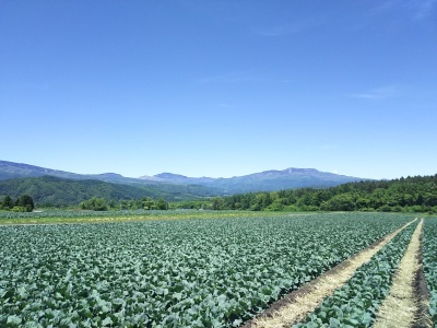 f0364455_23562436.jpg