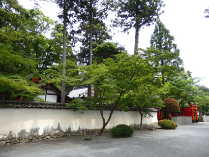 d0218056_2055831.jpg