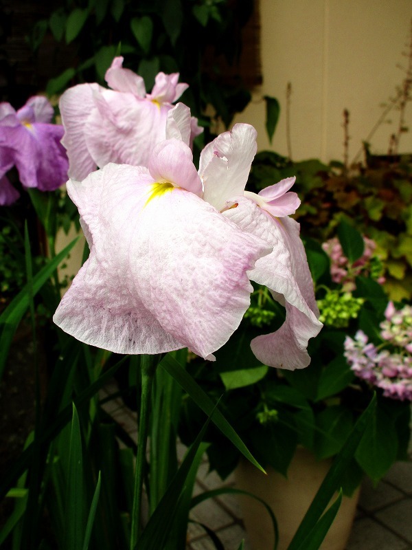 b0362459_15052425.jpg