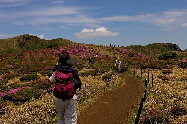 e0339960_12514194.jpg