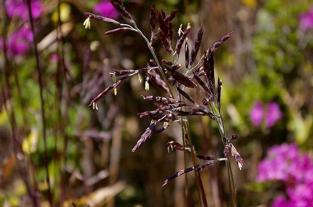 e0339960_12575395.jpg