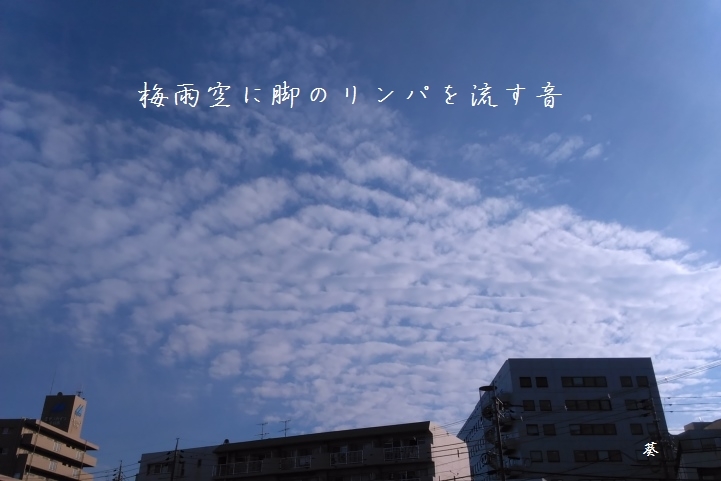 f0379160_13083312.jpg