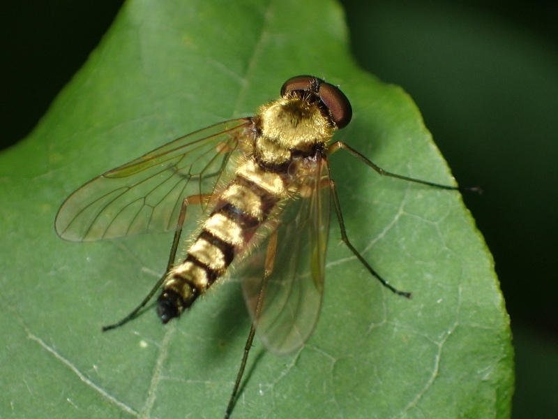 b0369164_06363543.jpg
