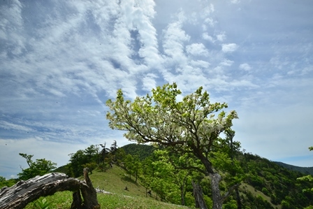 c0303868_06045779.jpg