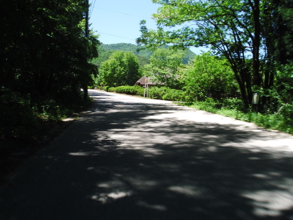 c0325468_20495060.jpg