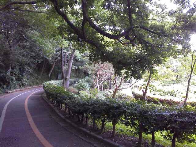 b0155973_12591634.jpg