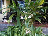 f0222378_7301491.jpg