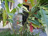 f0222378_7311271.jpg
