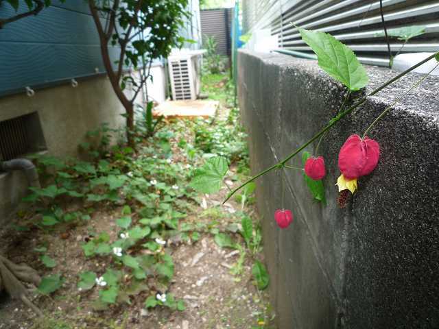 d0149379_16521230.jpg