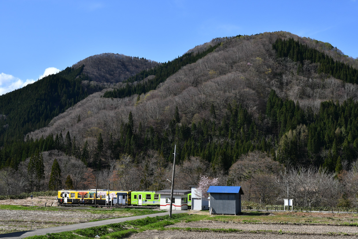 b0001380_23421364.jpg