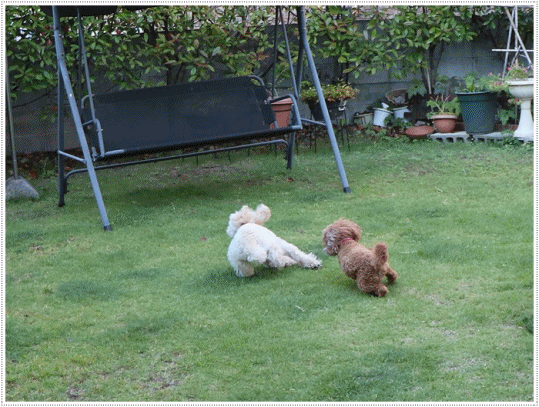 b0175688_23350298.gif