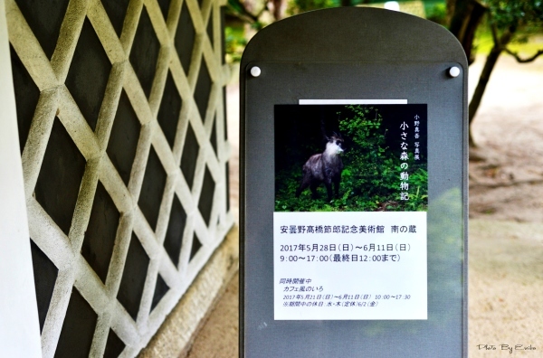 c0246290_14090480.jpg