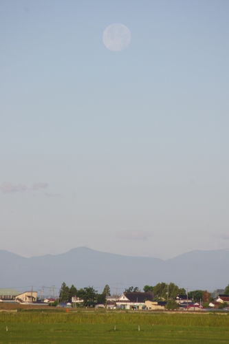 c0337494_16112973.jpg
