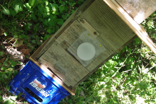 c0337494_16132127.jpg