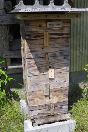 c0337494_16133760.jpg