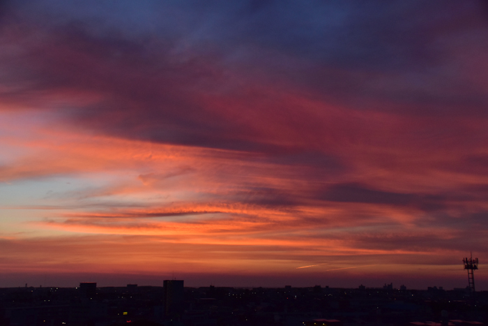 c0049299_06494296.jpg