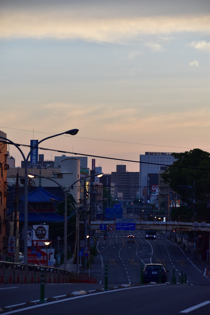 c0049299_06503768.jpg