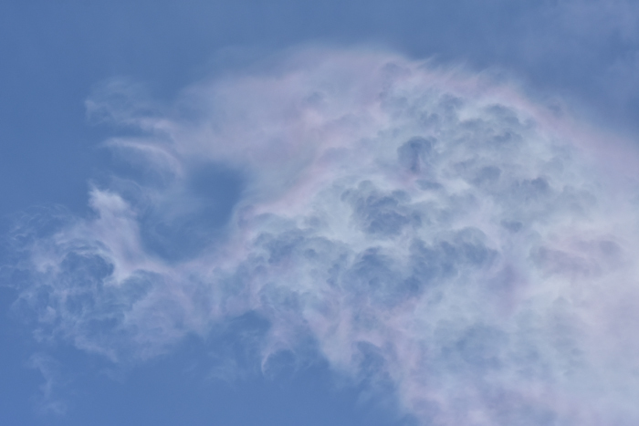 c0049299_22453414.jpg