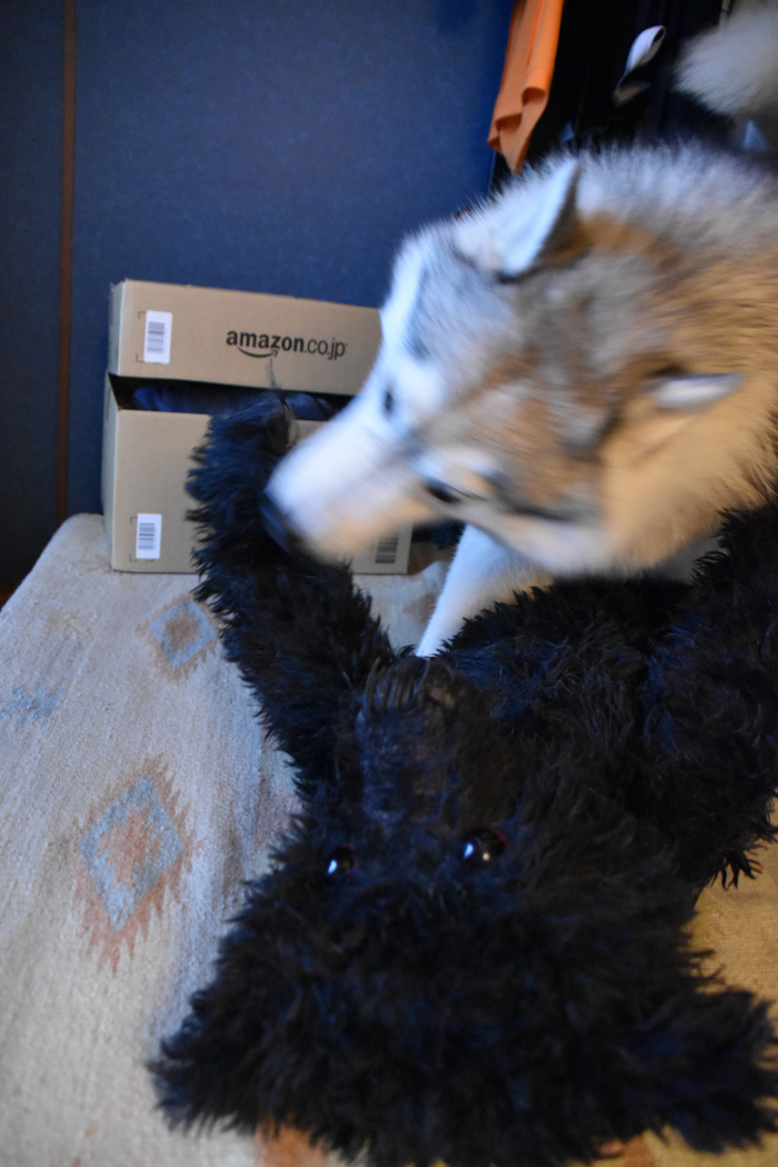 c0049299_22461449.jpg
