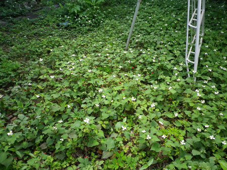f0239100_23294195.jpg