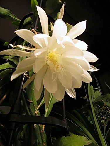 c0061503_09410350.jpg
