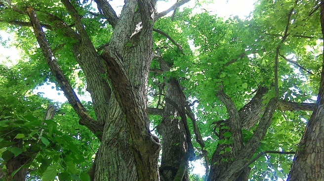 c0067206_16270179.jpg