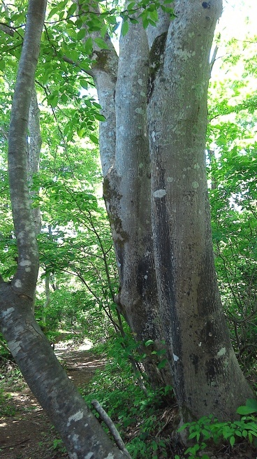 c0067206_16311342.jpg
