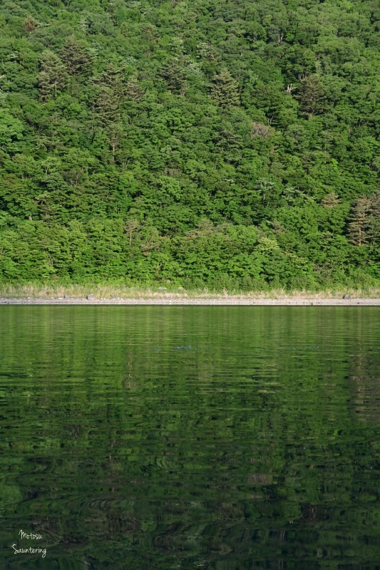 b0223512_23172858.jpg