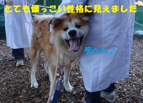 f0121712_16441629.jpg
